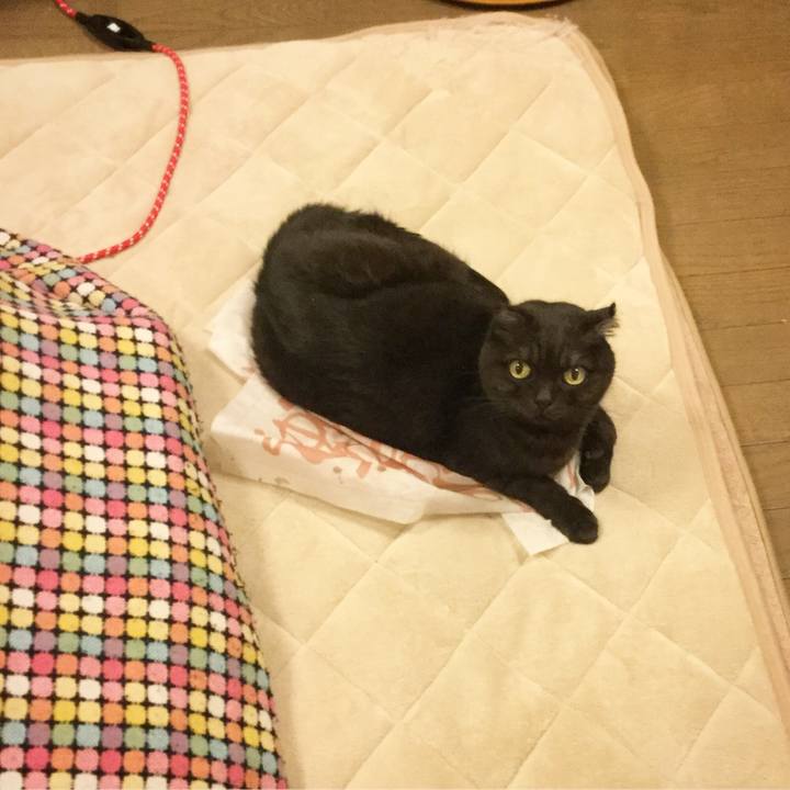 25db24db 7e5e 4c42 8f2f 77eac13ec82f