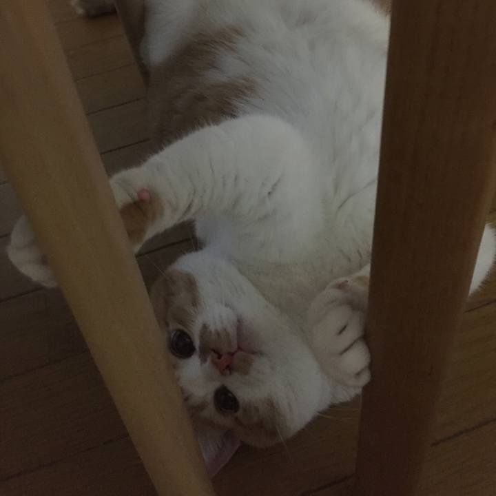 25dbbab1 3753 4ec2 b700 b235d2542d97