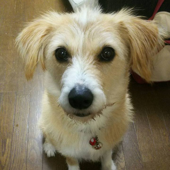 25dc2545 01de 411b b0fd 83dc016a3741