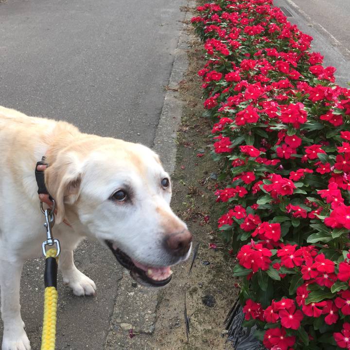 25dd03c5 dfb8 49ce 830e 812d110fc572