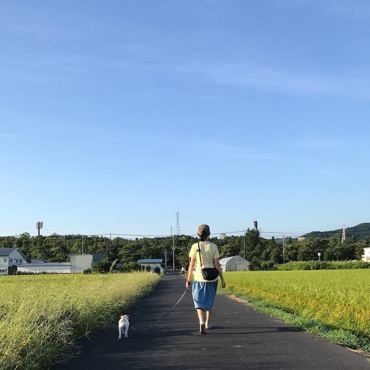 25dd9956 c79d 4e8a 825c 005d94f708ab