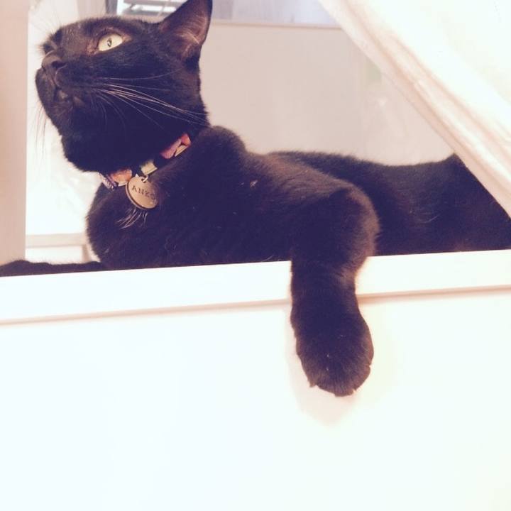 25ddd5be cb12 475d 94e9 d5edbf0bac02