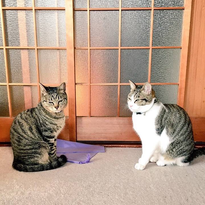 25deab45 c1c6 4c64 b9a4 b82019522346