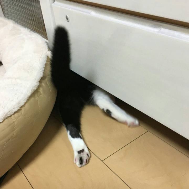 25df4756 d739 411a a9b5 ee4c91eafd10