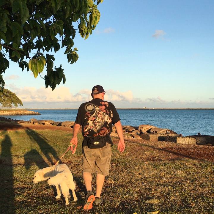 25dfec1a de1c 4bd1 a83e 770800174e60