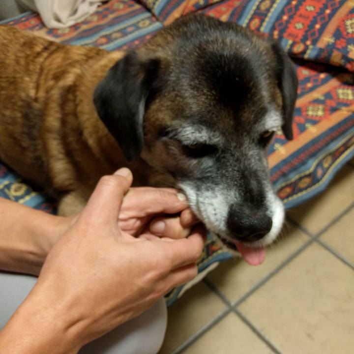 25dfec9f dd01 4068 bc75 d8f283754323