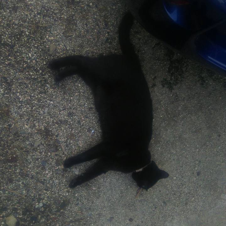 25dffafd 0d61 4879 b59b 43e6a5ab51b3