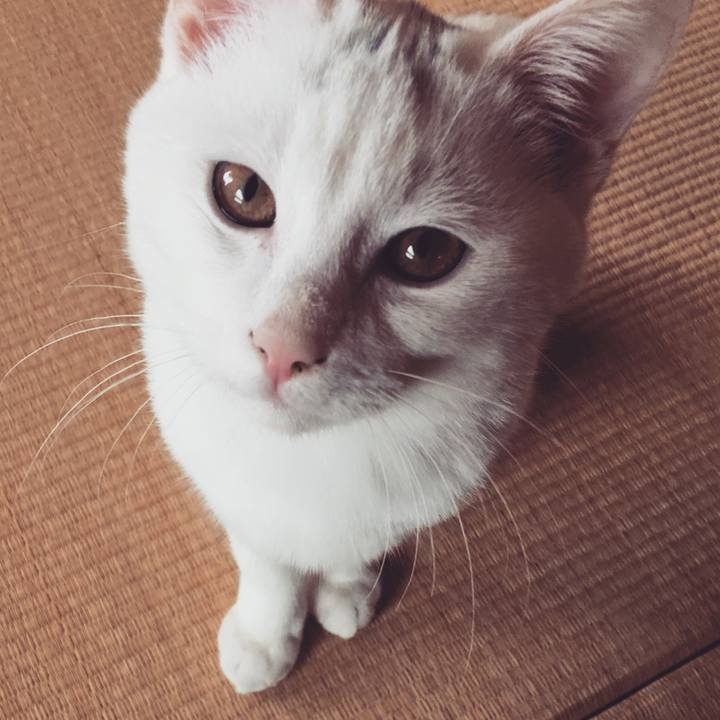 25e07008 9901 47ba bf72 ce8a07886b2a