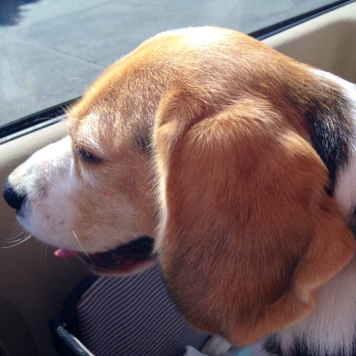 25e0ba63 d385 404e 9e5c eb080d052764