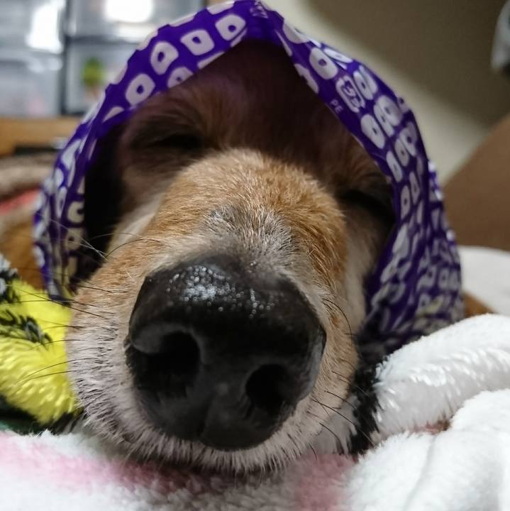 25e14720 75f1 48bd 89e5 30ebcd260f1d