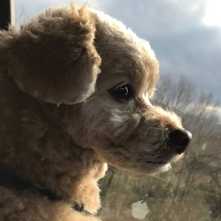 25e29fec 80c2 42c8 8c57 ee75a319d86e