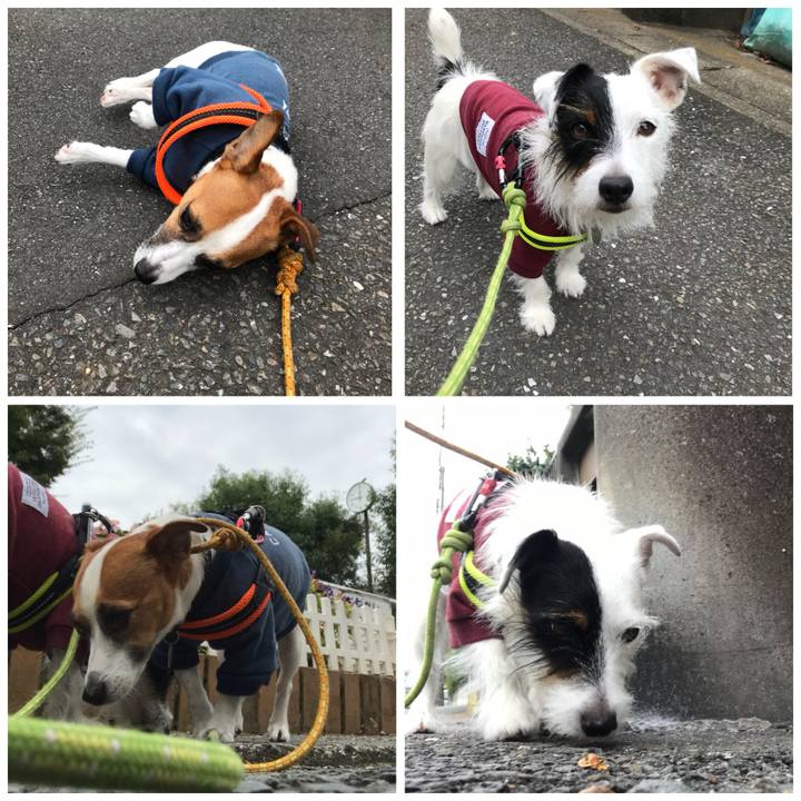 25e37a32 31c3 4183 aed5 924162e1f03b