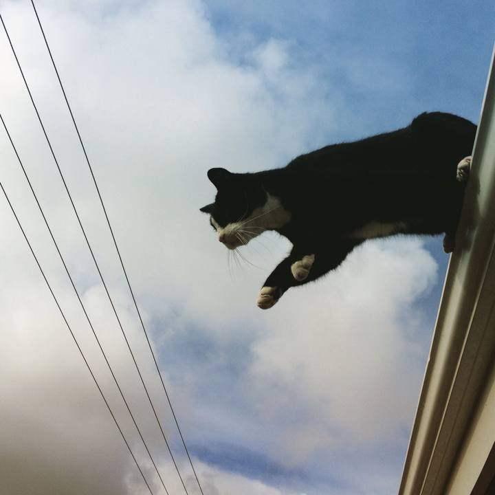 25e444bc 4988 4b51 bf50 2ea4d28b00bc