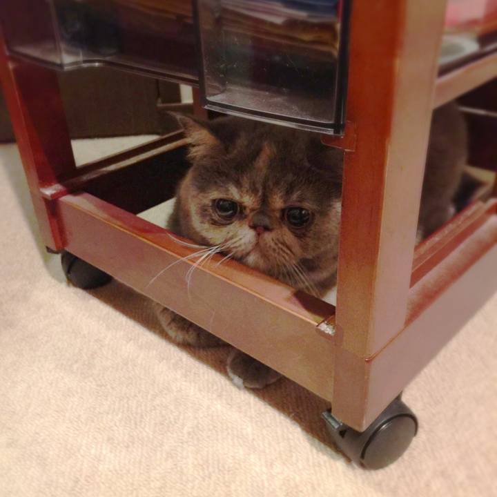 25e470b6 eaac 4fd1 882a cac8d8064d3a