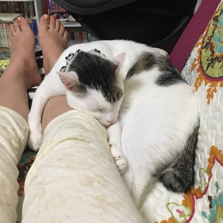 25e4b8f4 e83b 4741 beba a90931fd3ee3