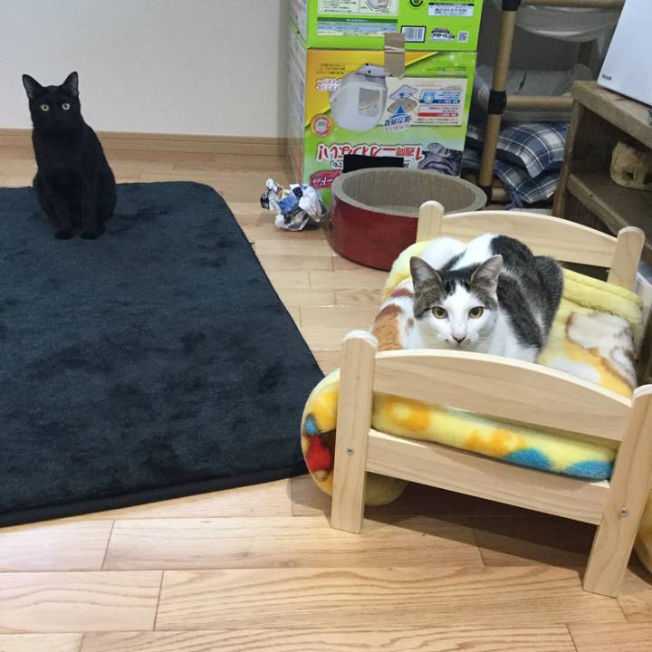 25e56706 15e5 47d9 ab37 456a999087ef