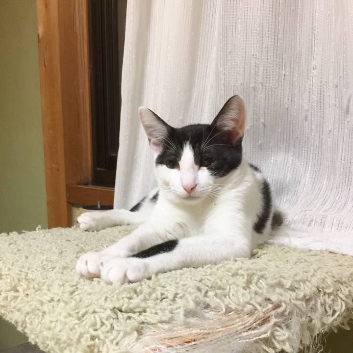 25e5b152 f788 46f1 bd64 162aaee56cb9