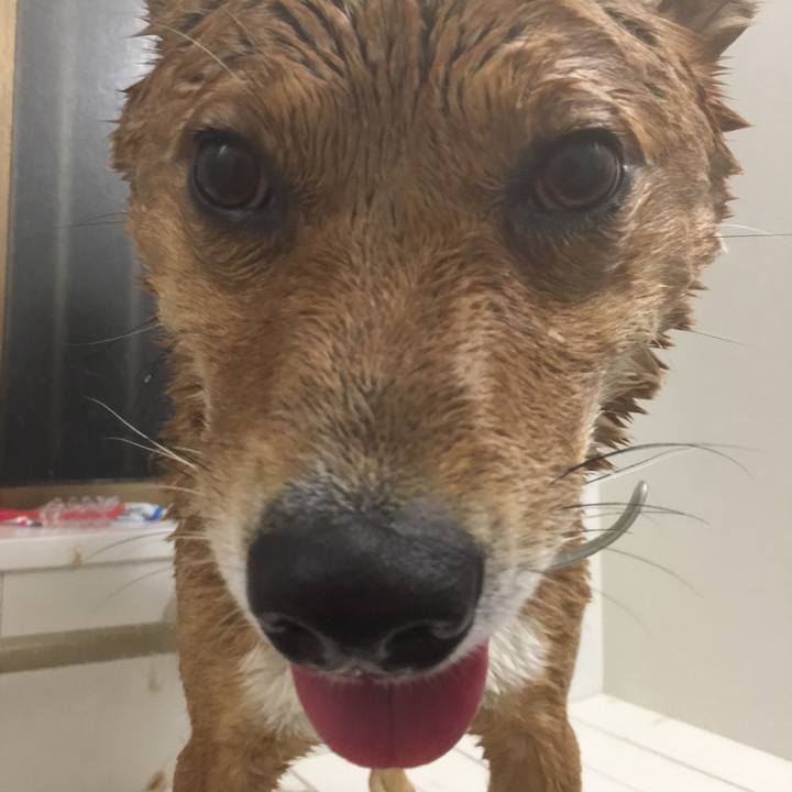 25e5df3a 16a0 4285 992d ae4045353360