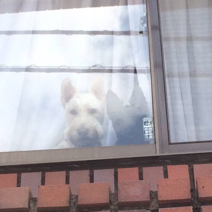 25e661b5 e460 490d 86e0 9ad13caf0f55