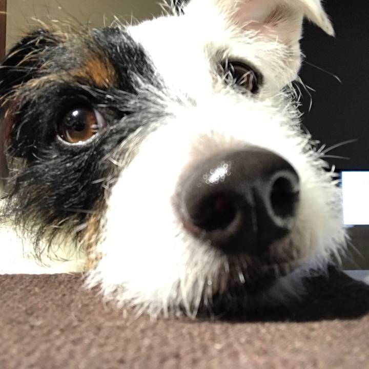 25e6ccd5 c886 4c1a a256 8f7685a7424a