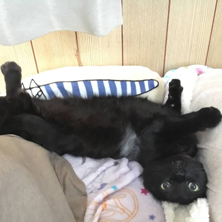 25e6ff10 555b 466a a40c 83c31f9f172f