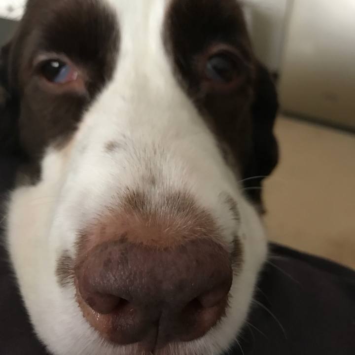 25e735ba 10eb 4762 9357 9bc6ac24b77f