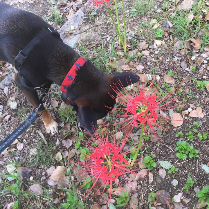 25e79496 1e1c 49eb bcda 8eb24dd73515