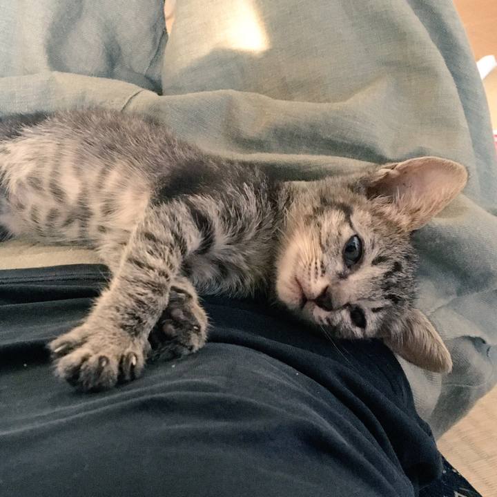 25e7ce82 6ae3 446d 9922 43f05a949309