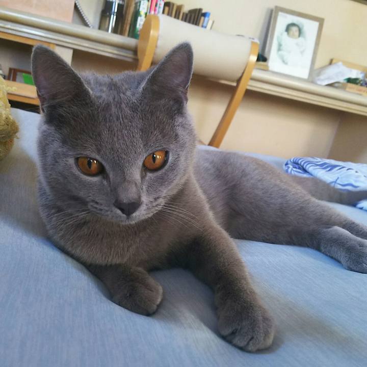 25e7fcde 9140 4b88 9975 de6ba72c2d14