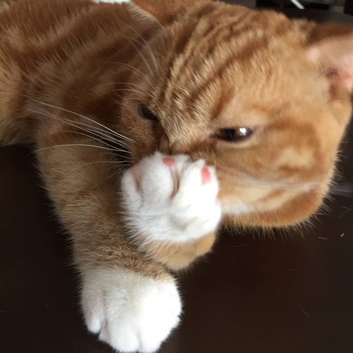 25e917e0 0b1e 4d3f 8590 5a6ec0d0be9d