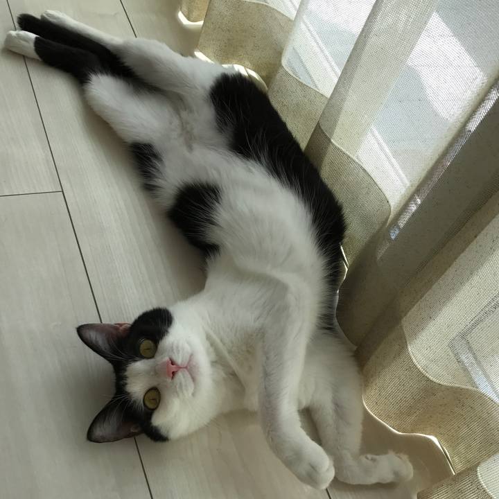 25e97205 f3be 462b adbc 1f2b91cd4a86