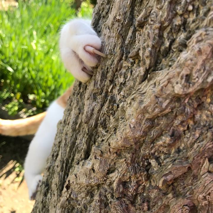 25e99aa3 f291 40d4 90db d728798d7cc2