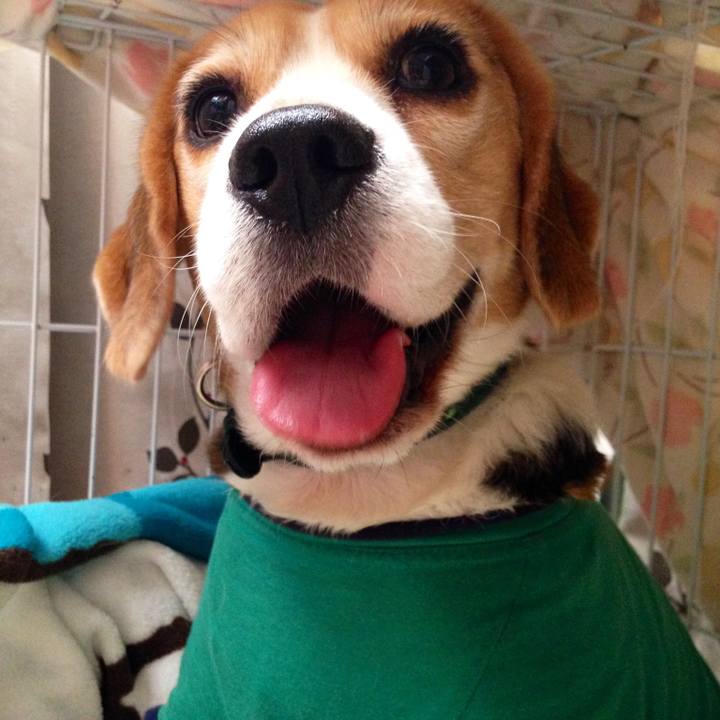 25e9c17c 69dc 4e3e 89c9 9681aafa9298