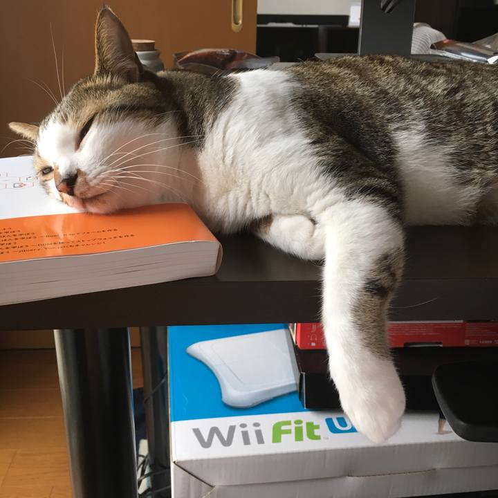 25e9d22f 706f 41b3 a2e0 142e807aac6a