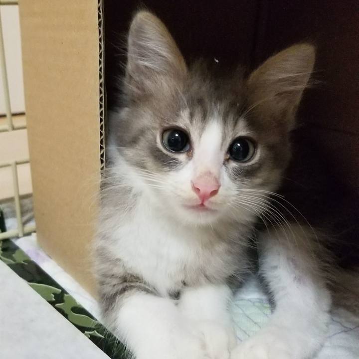 25e9f902 1943 4979 a5e5 3646719376db