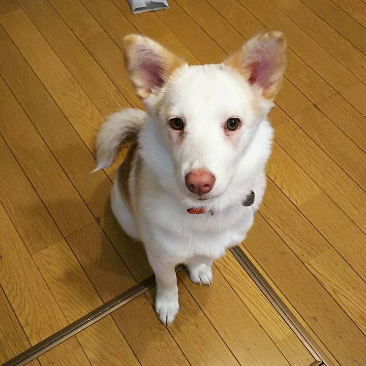 25ea25fd 4954 4a8e 90ca 78c42237ce09