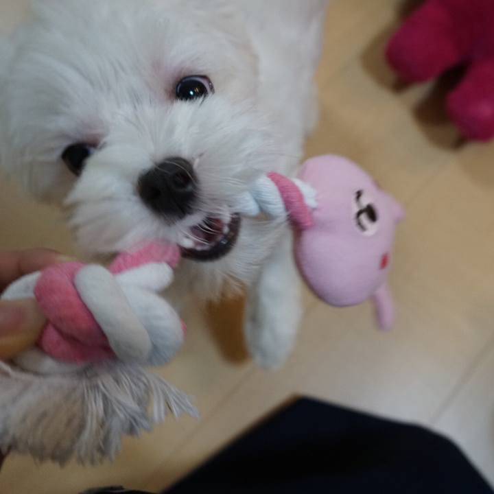 25eb1a25 ff36 4f89 875b cacb668131ce