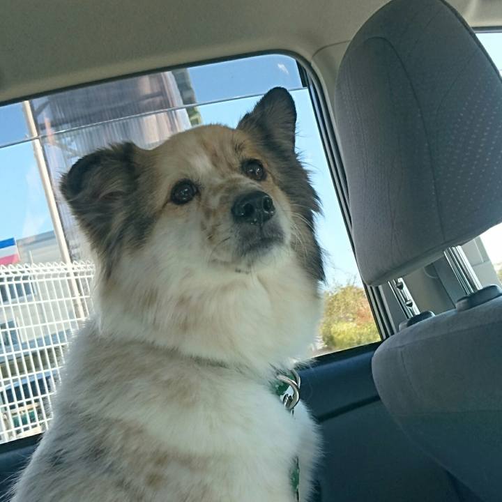 25eb2878 46a1 4bce 8da6 871a298c3de7