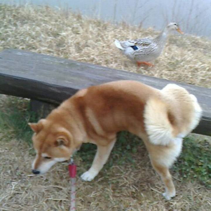 25eb3f79 0a18 4937 8ee9 3791c11e7199