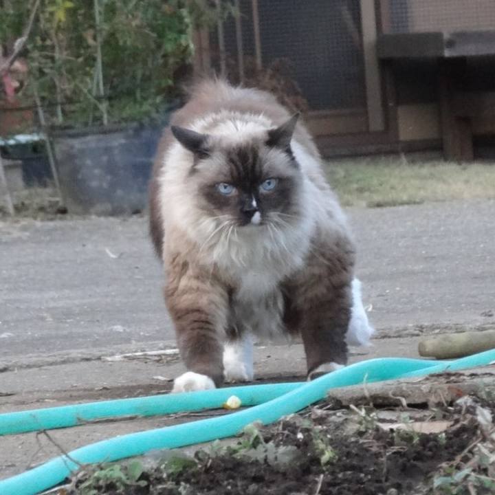 25eb880e 6c57 4ec3 8683 edfc826ccf22