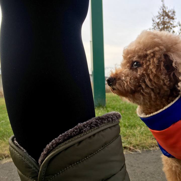 25ebd57b 72f2 41e2 adf0 83fad9019b1d