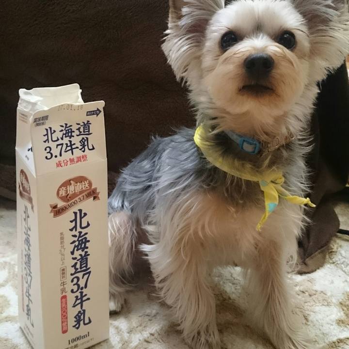 25ec6d85 74ad 4953 97e7 c3023e0a2623