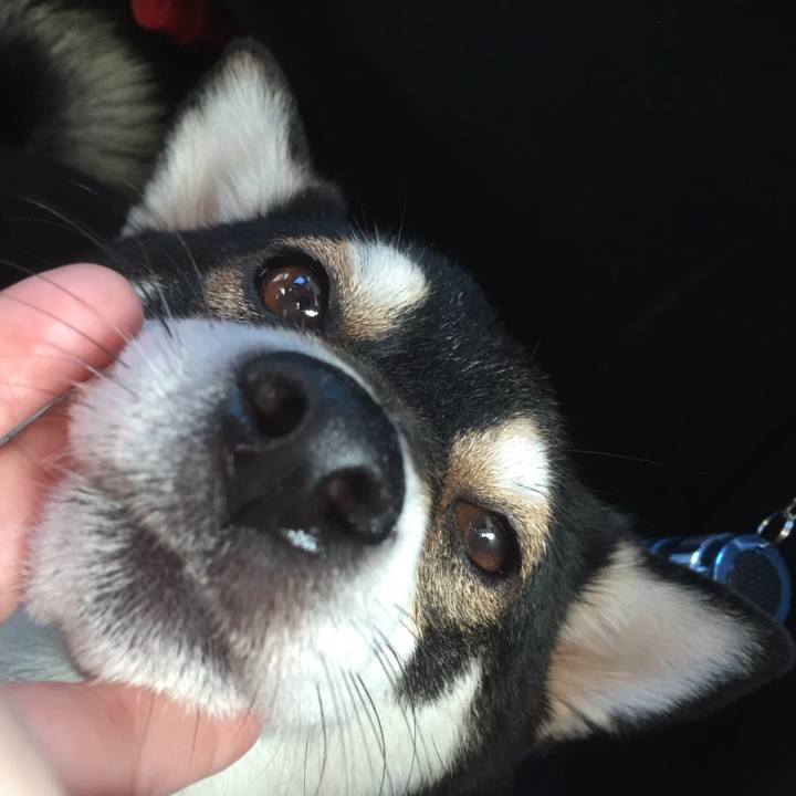 25ec8c69 a30a 47f2 9580 f200476d3bed