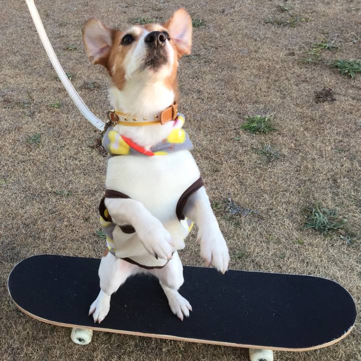 25ecf1bb c08a 4668 b11b 368ccc571f97