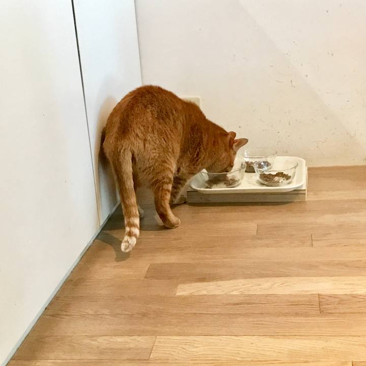 25ed1adc a80d 475e b4e5 2f0401e4463a