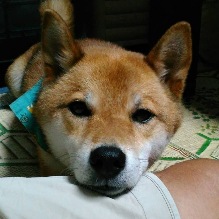 25ed1f19 3afc 4118 9e71 732a4b97e1e5