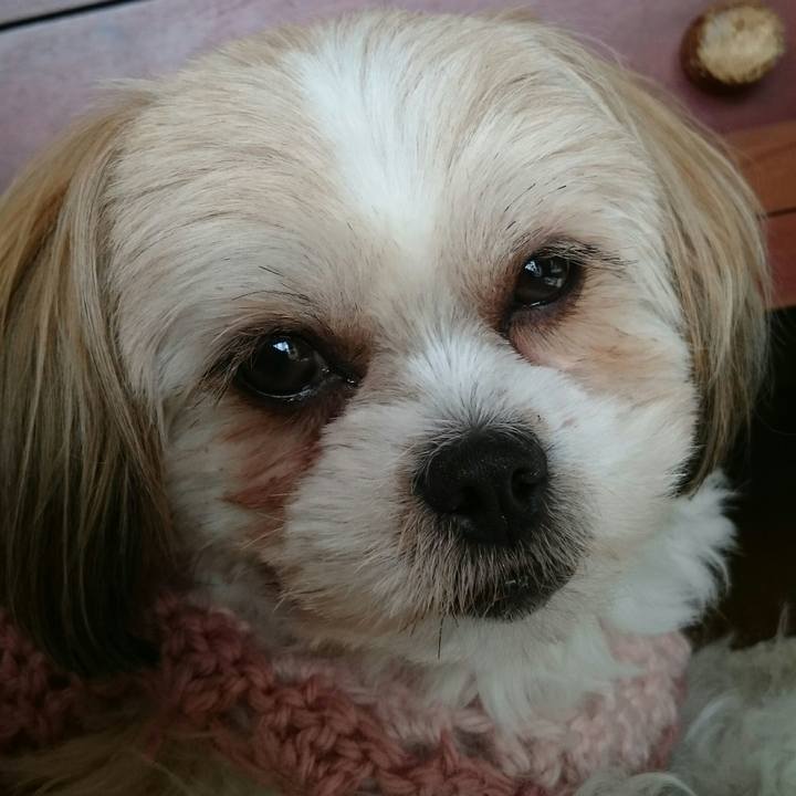 25ede9f1 9db4 4795 848b cd067ff1d0f1