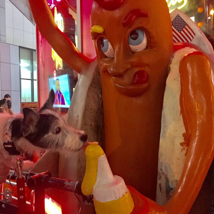 25ee0b3f 7d7f 4a53 b065 346634463c24