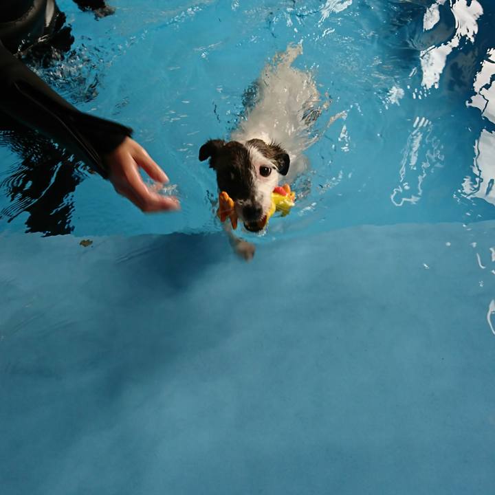 25ee75ab 0309 4d86 9882 7af04a412a0a