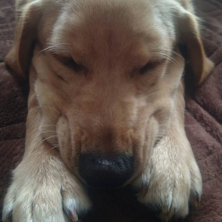 25ee823f d93a 4983 9d1f c7fc0fcccd17